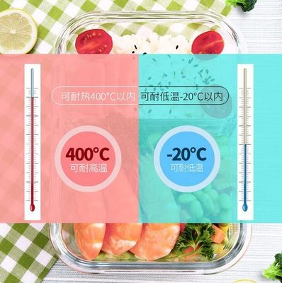 kwaliteit Borosilicaat geperste glazen lunchdozen met sluitluiken fabriek