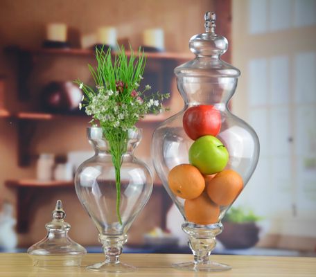 kwaliteit Vogelhandvat glasblik met deksel fabriek